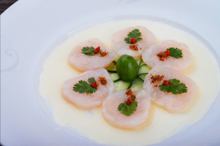 Fresh Scallop Tiradito