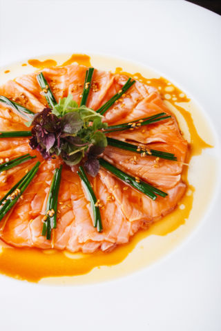 Salmon New Style Sashimi